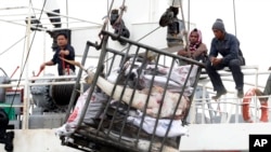 Para pekerja di Benjina, Indonesia, mengangkut ikan ke dalam kapal kargo yang akan bertolak ke Thailand, 22 November 2014. (AP/Dita Alangkara)