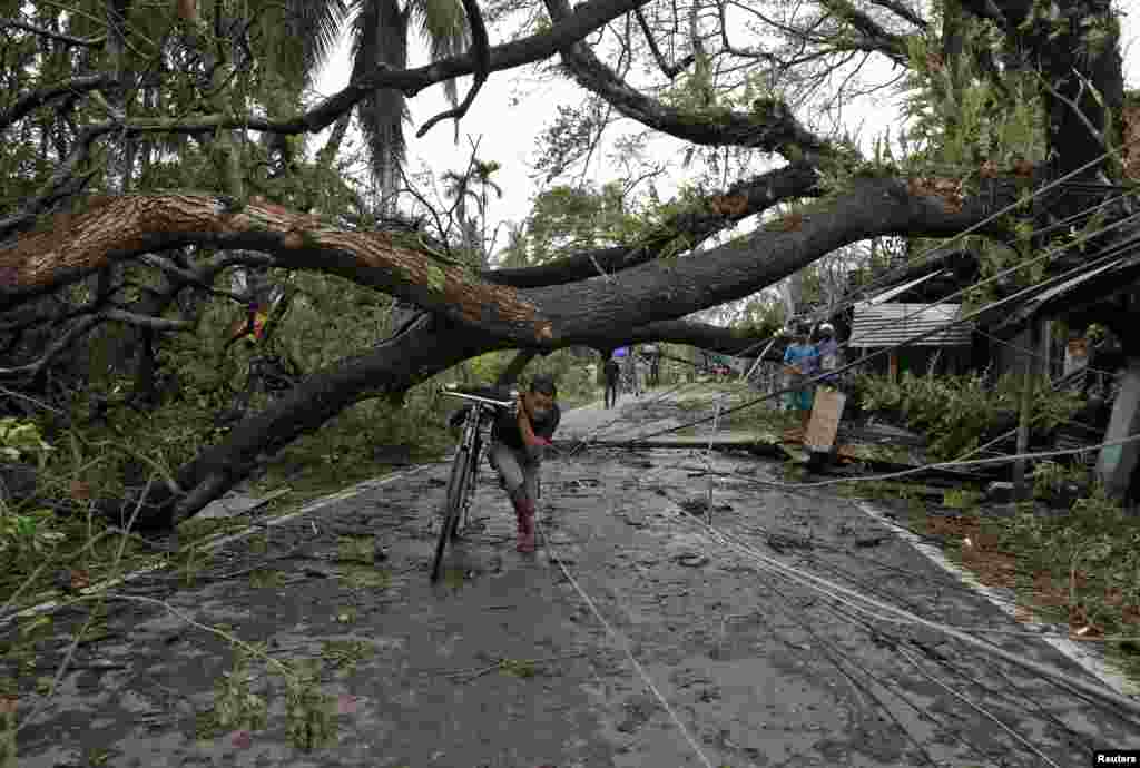 A man walks with his bicycle under an uprooted tree after Cyclone Amphan made its landfall, in South 24 Parganas district, in the eastern state of West Bengal, India.