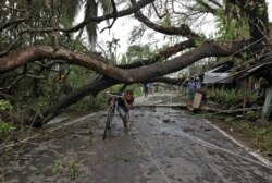 Seorang pria menuntun sepedanya melewati pohon tumbang akibat diterjang Topan Amphan di distrik 24 Parganas Selatan, negara bagian Benggala Barat, India timur, 21 Mei 2020.