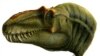 New, 'King of Gore' Tyrannosaur Discovered