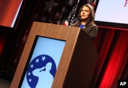 Tulsi Gabbard