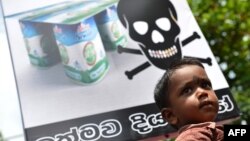 A Sri Lankan child looks on in front of a placard as pro-government activists demonstrate against the alleged contamination of milk powder in front of the factory of New Zealand dairy giant Fonterra in the Colombo suburb of Biyagama, August 22, 2013.