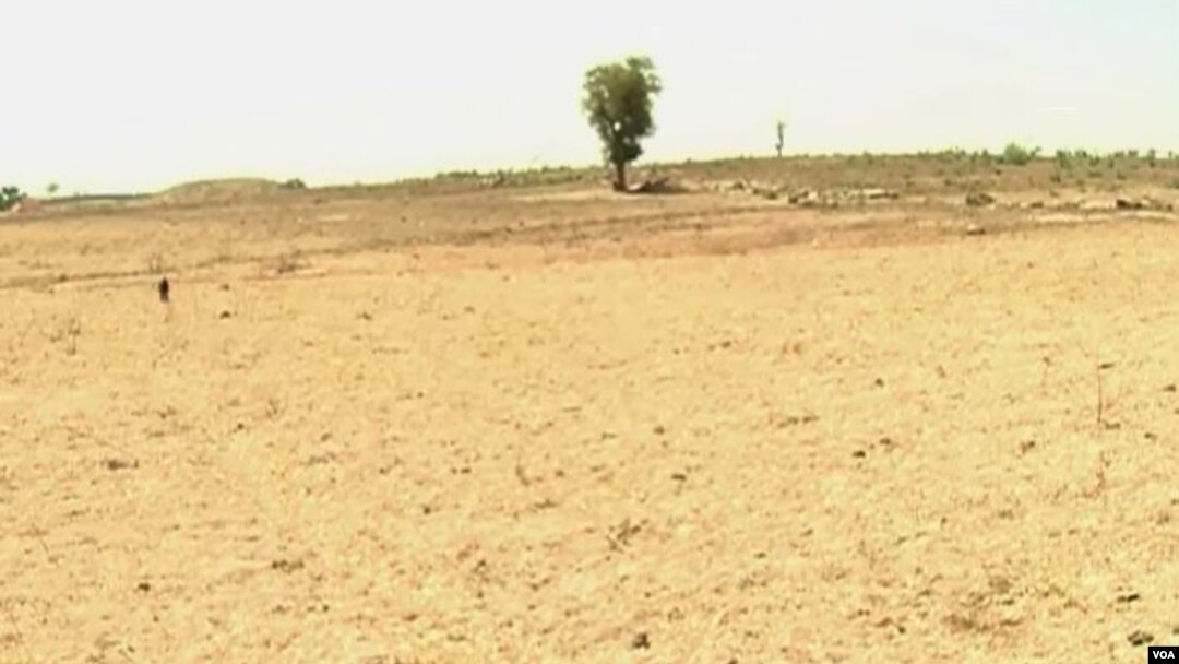 Degraded land is seen in Pitoua, near Garoua, Cameroon, Feb. 10 2018. Formerly a community forest, it is now completely bare. (M. Kindzeka/VOA)