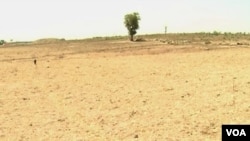 Degraded land is seen in Pitoua, near Garoua, Cameroon, Feb. 10 2018. Formerly a community forest, it is now completely bare. (M. Kindzeka/VOA)