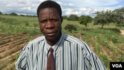 Taringana Makiwa, an official with the state-owned Agricultural Extension Service, is shown in a field in Chivi, Zimbabwe, in March 2016. The extension service advises Zimbabwean farmers to plant small grains,especially finger millet, and pearl millet.