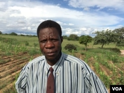 Taringana Makiwa, an official with the state-owned Agricultural Extension Service, is shown in a field in Chivi, Zimbabwe, in March 2016. (S. Mhofu/VOA)