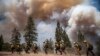 Mỹ: Cháy lớn ở một vườn quốc gia của California