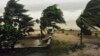 Madagascar Lashed by Rain, Wind from Cyclone Enawo