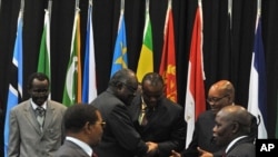 Leaders gather at the opening of the Southern Africa Development Community summit in Johannesburg, June 12, 2011
