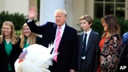 Trump Thanksgiving