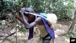 A Congolese man carries a load of mineral chips harvested from inside a deep cassiterite mine located west of the eastern Congolese town of Goma in the north Kivu region (File 2010)