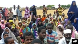 Newly arrived refugees from Somalia fleeing war and hunger gather near the Hagadera refugee camp in Dadaab, in Kenya's northeastern province, Dec 8, 2010 (File Photo)
