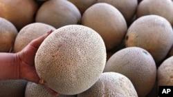 An operator of a fruit and vegetable stand near Denver holds a California-grown cantaloupe for sale at her business on Friday, Sept. 16, 2011