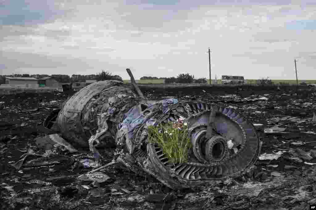 Flowers are placed on a plane engine at the crash site of a Malaysia Airlines jet near the village of Hrabove, eastern Ukraine, July 19, 2014.