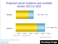 Projected Cancer Incidence and Mortality, 2012 to 2025 (WHO GloboCan)