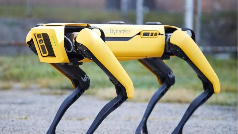 Robot Anjing Pemantau Lingkungan di Italia