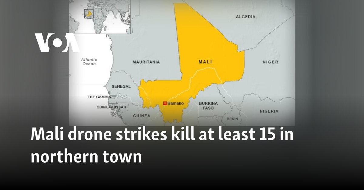 Drone Strikes Kill At Least 15 in Northern Mali