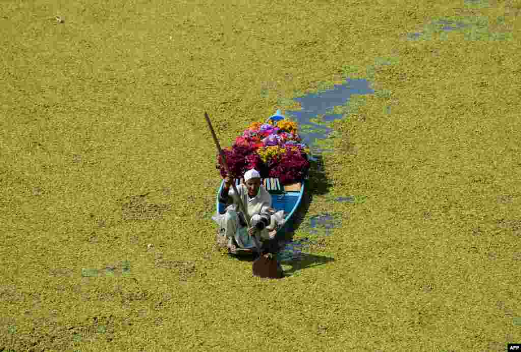 A Kashmiri flower vendor paddles his boat along Dal Lake in Srinagar, India.