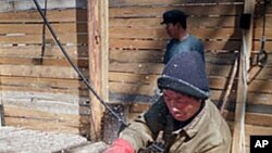 러시아의 북한 벌목공 (자료사진)