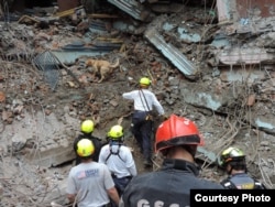 Pryse, a Labrador retriever with a search-and-rescue team from Virginia, looks for survivors after an earthquake in Nepal in April 2015. (Credit: Fairfax Fire & Rescue)