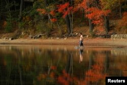 매사추세츠주 콩코드의 월든 호수 주변 가을 풍경.