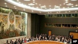 5 νέα μη μόνιμα μέλη προστίθενται στο ΣΑ του ΟΗΕ