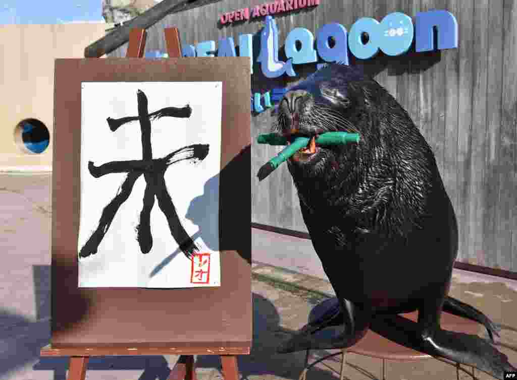 A sea lion paints a Chinese character for &quot;sheep&quot; in calligraphy as part of a New Year&#39;s Day attraction at the Hakkeijima Sea Paradise aquarium in Yokohama, suburban Tokyo, Japan.