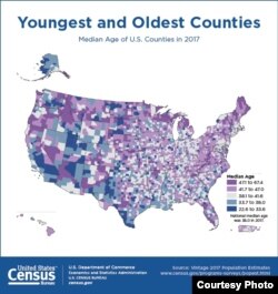가장 나이 많고 나이 적은 미국 행정구역 인포그래픽. 미국 센서스국 사진제공.