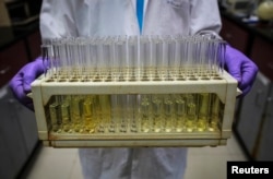 FILE - An employee carries test tubes inside a laboratory in India, Aug. 11, 2014.