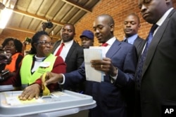 Zimbabwe's main opposition leader Nelson Chamisa casts his vote at a polling station in Harare, Zimbabwe, July 30, 2018.