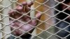 FILE - In this March 23, 2011 file photograph, an Afghan detainee is seen through iron mesh inside the Parwan detention facility near Bagram Air Field in Afghanistan. Afghan and U.S. military officials have signed a deal to transfer oversight of the main 
