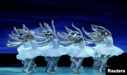 Dancers of the State Opera Ballet perform during a dress rehearsal of Pyotr Ilyich Tchaikovsky's Swan Lake at the State Opera in Vienna March 13, 2014.
