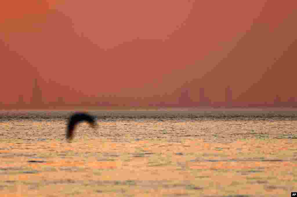 The Chicago skyline appears through haze caused by wildfires in the western United States, July 27, 2021, in Indiana Dunes State Park, in Indiana.