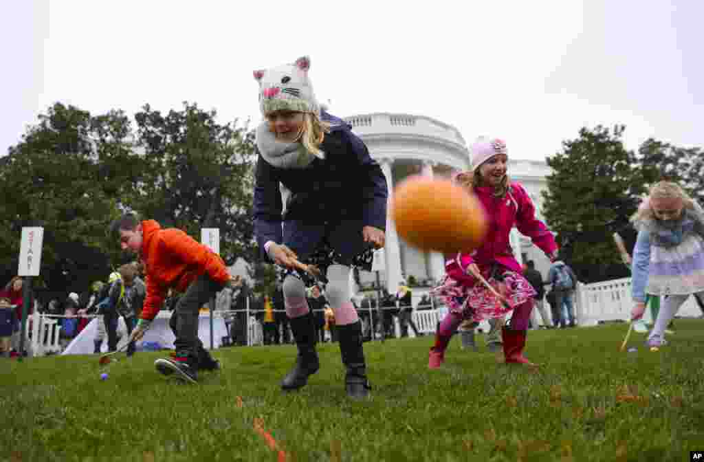 Julia Stimson, 8 tahun, dari Alexandria, Va., dan anak-anak lain berpartisipasi dalam Lomba Balap Telur Paskah di South Lawn, Gedung Putih di Washington, 2 April 2018.