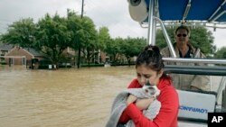 Техасцы эвакуируются вместе с домашними любимцами