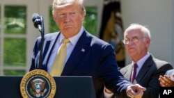 FILE - President Donald Trump gestures as he speaks in the Rose Garden of the White House, June 14, 2019. 