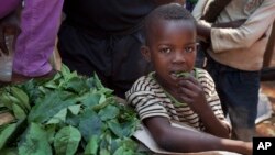 A young boy eats some of the leaves that a market-seller, left, is chopping up for sale at the market in the Bimbo neighborhood of the capital Bangui, Central African Republic, January 1, 2013. 