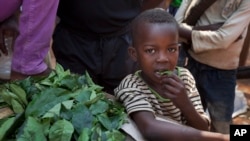 Un enfant mange des feuilles au marché de Bimbo dans la prériphérie de Bangui, République Centrafricaine, 1er janvier 2013. 