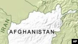 بغلان : عملياتو کې 29 طالبان وژل شوي دي