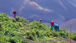 Cabo Verde: Sustentabilidade e desenvolvimento, desafios do novo Executivo - 2:45
