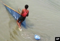 ইলিশের দাম যেমন আকাশ ছোঁয়া, মাছও তেমন বড় নয়