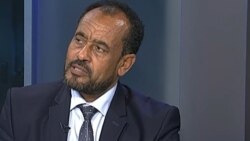የእነ አቶ በቀለ ገርባ የፍ/ቤት ውሎ