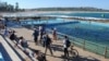 A view of the beach and pool at Dee Why, a town north of Sydney that is home to Australia's largest Tibetan community. (Amy Yee for VOA News)