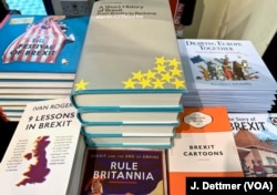 Reading material on Brexit for adults and kids alike can be found in many of London's bookstores.