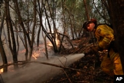 A firefighter puts out a hot spot from a wildfire, Oct. 12, 2017, near Calistoga, California. Officials say progress is being made in some of the largest wildfires burning in Northern California but that the death toll is almost sure to surge.
