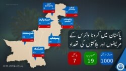 پاکستان میں کرونا وائرس کے سب سے زیادہ کیسز سندھ میں رپورٹ ہوئے ہیں۔