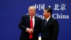 Tổng thống Mỹ Donald Trump và Chủ tịch Nước Trung Quốc Tập Cận Bình tại cuộc gặp gỡ với các lãnh đạo doanh nghiệp ở Đại lễ đường Nhân dân Trung Quốc tại Bắc Kinh, ngày 9/11/2017.