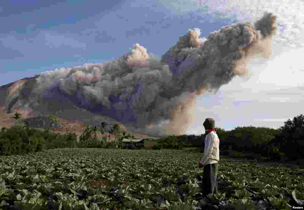 Seorang warga berdiri di kebunnya sementara Gunung Sinabung mengepulkan debu vulkanik, seperti terlihat di desa Pintu Besi di Kabupaten Karo, Sumatera Utara. Lebih dari 10.000 orang dari 12 desa sekitar Gunung Sinabung telah mengungsi.