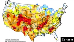 Las zonas más oscuras, sombreadas en marrón y rojo, experimentan una sequía extrema o excepcional (ilustración:US Drought Monitor).