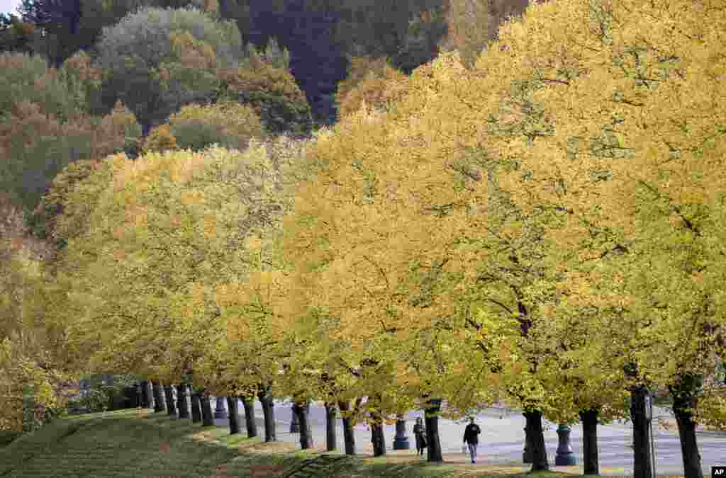 Para pejalan kaki berjalan di bawah pohon-pohon yang daunnya berubah warna saat musim gugur di Vilnius, Lithuania.